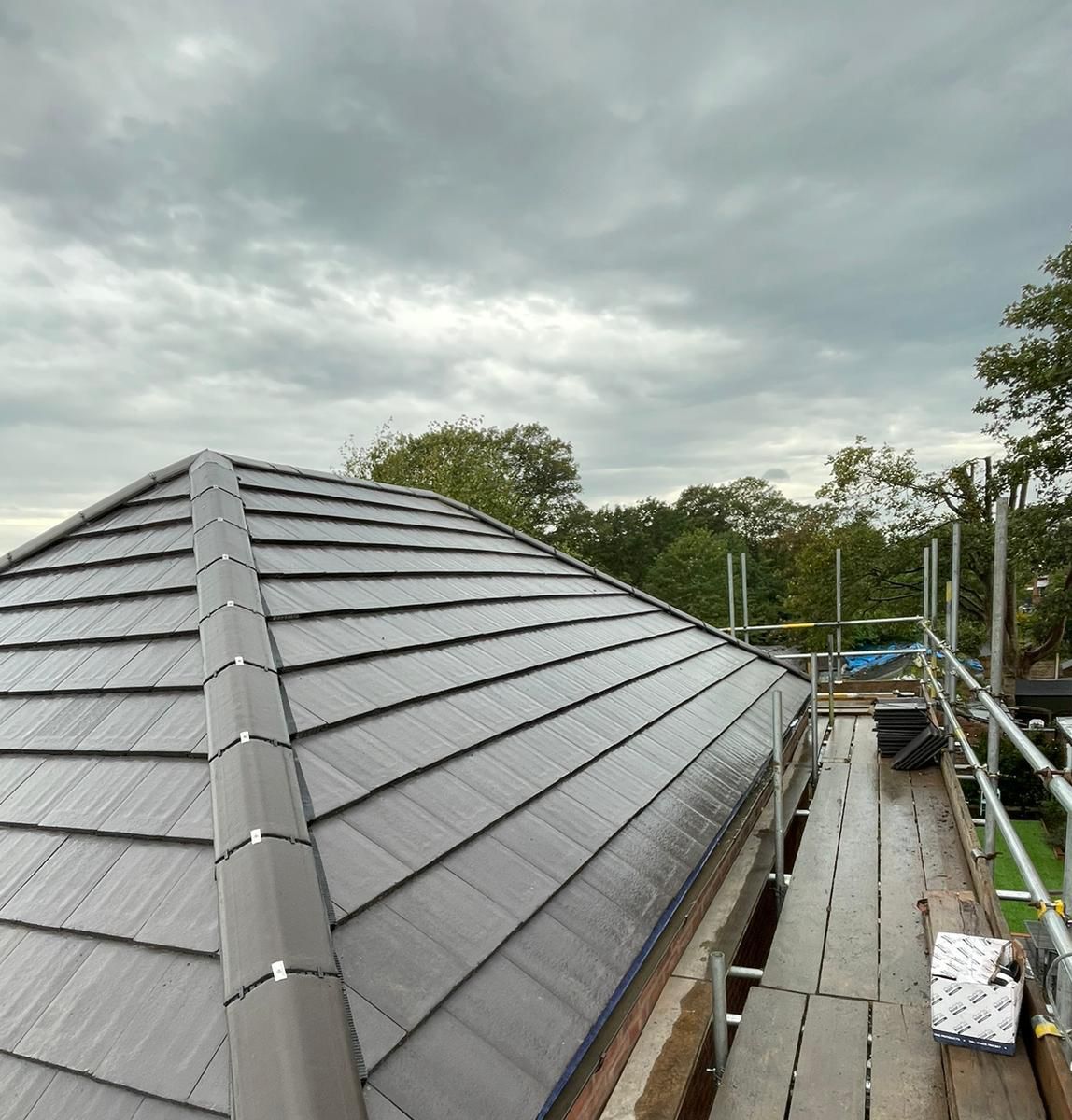 Roof Cleaning