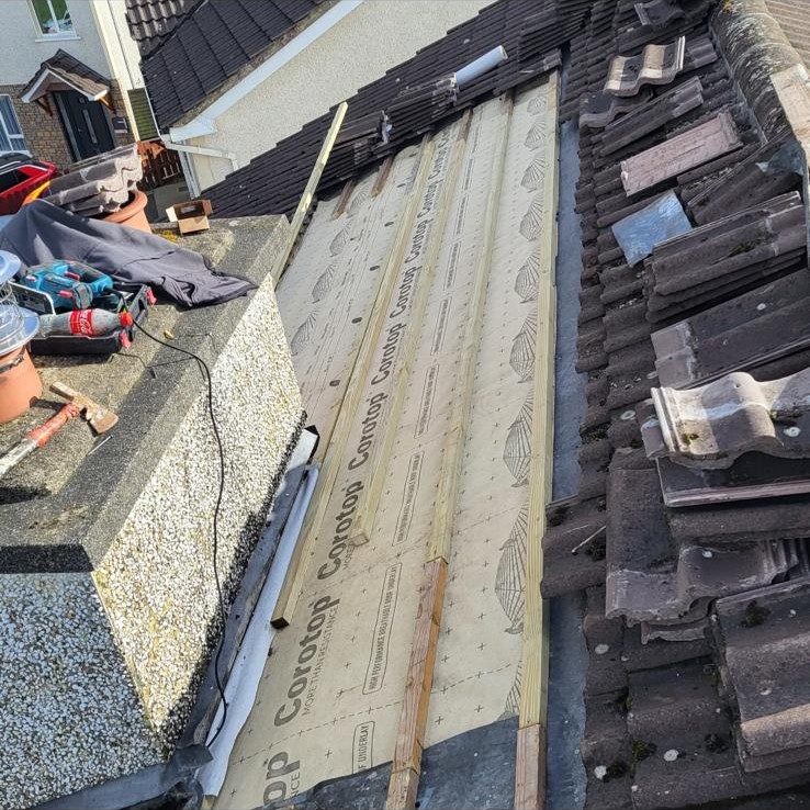 Algae and lichen removal from roof tiles in Dublin