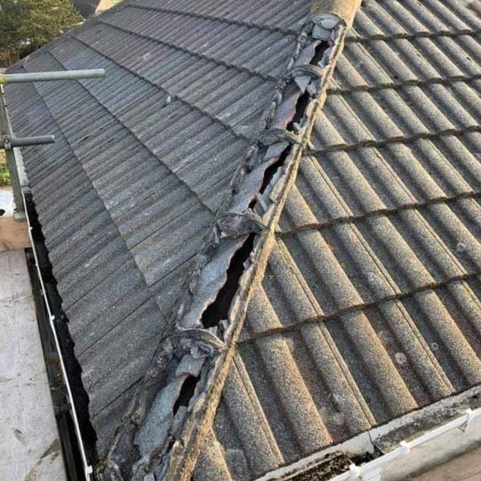 Roof cleaning crew removing moss and algae from a Dublin roof